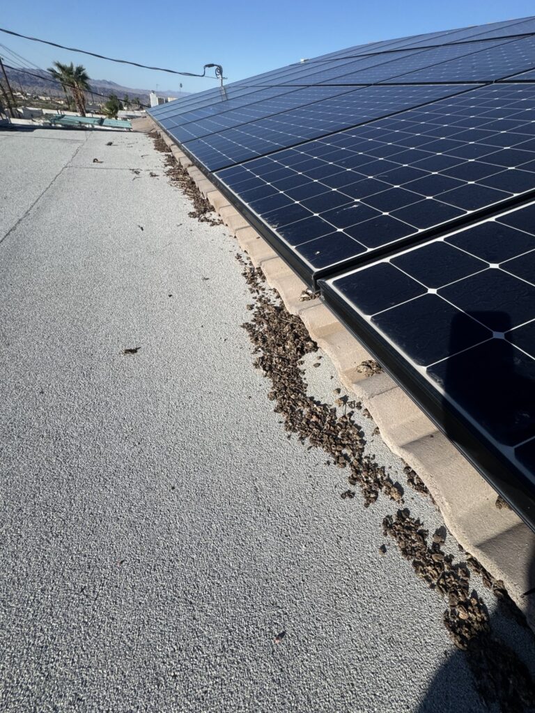 Accumulated bird droppings spilling out along the edge of a solar panel array in Lake Havasu