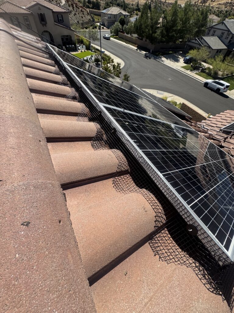 Bird exclusion mesh following curved roof tiles beneath solar panels