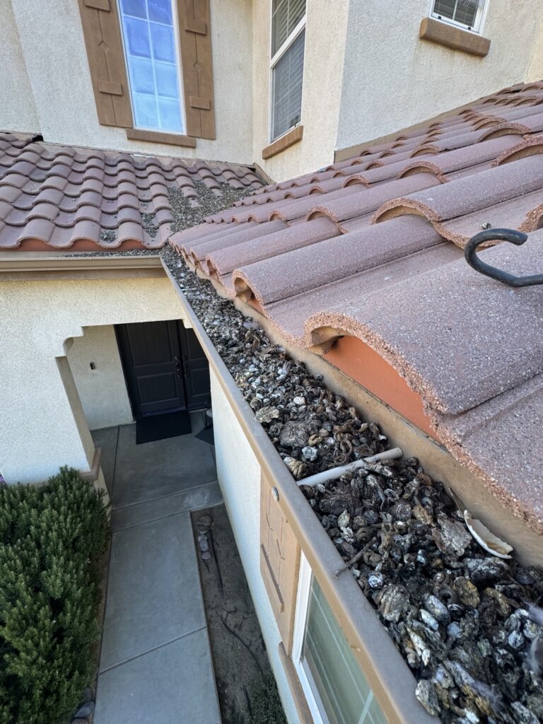 Gutter clogged with pigeon droppings before cleaning