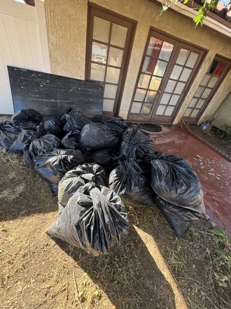 Bags of pigeon waste and nesting debris removed by PJ Solar