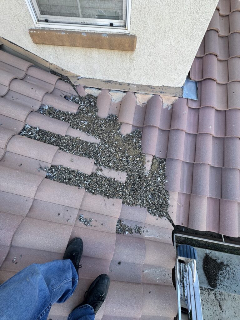 Roof valley clogged with pigeon droppings before cleaning