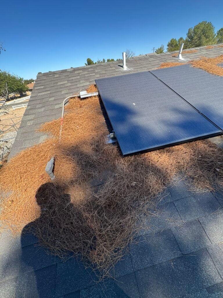 Pine needles packed along the lower edge of solar panels