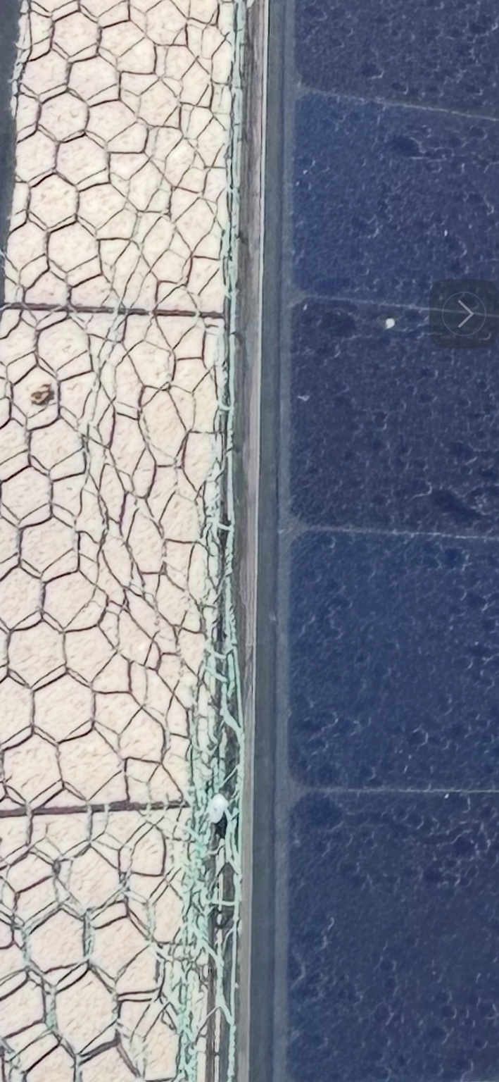 Close view of existing netting and a visible fastener near a solar panel frame; PJ Solar reported drilled attachments during its onsite inspection.
